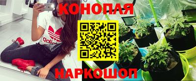 дживик Можга