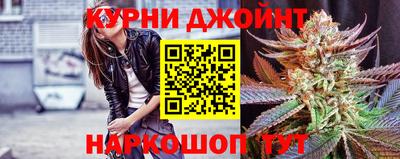 дживик Можга