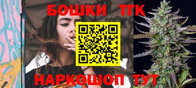 индика Моздок