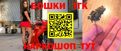 дживик Можга