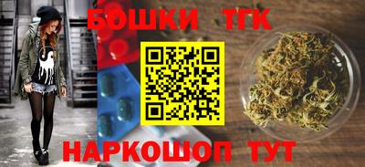 индика Моздок