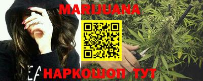 индика Моздок