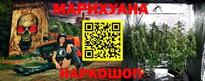 индика Моздок