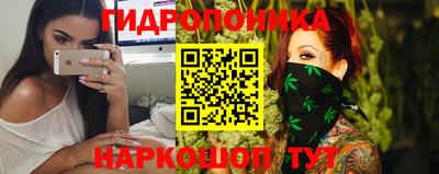 индика Моздок