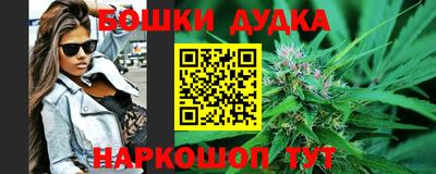 дживик Можга