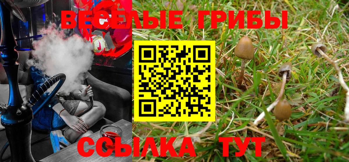Альфа ПВП Белая Калитва
