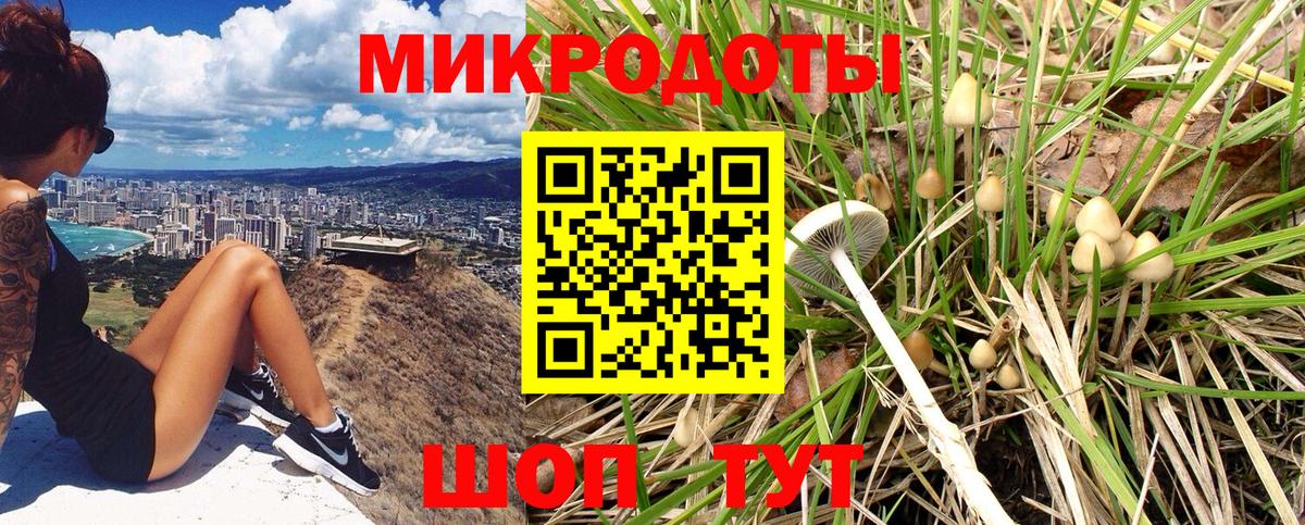 Псилоцибиновые грибы Psilocybine cubensis Белая Калитва