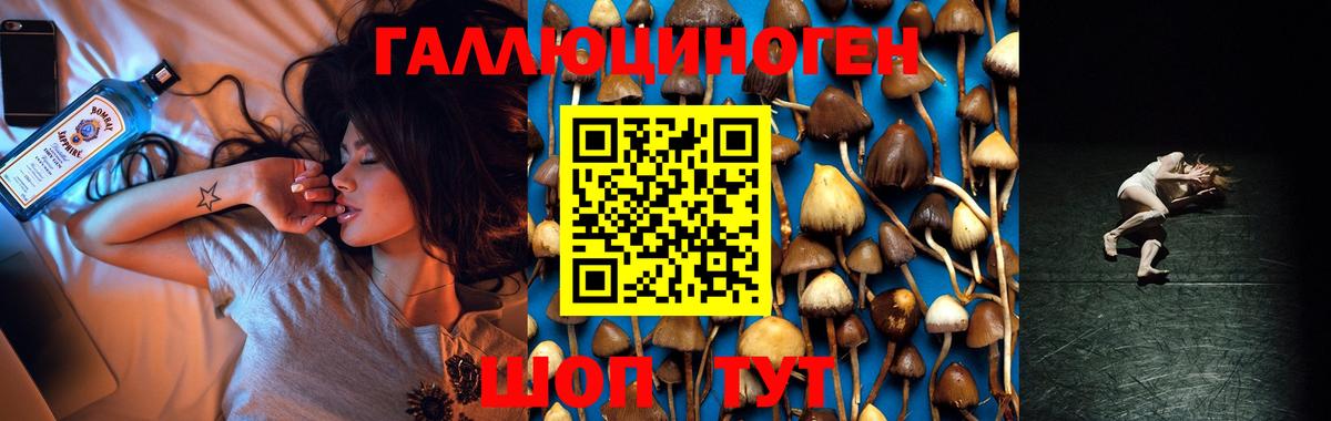Псилоцибиновые грибы GOLDEN TEACHER  Вход с VPN  Белая Калитва  Псилоцибиновые грибы мухоморы 